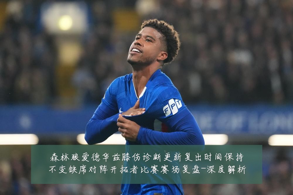森林狼爱德华兹膝伤诊断更新复出时间保持不变缺席对阵开拓者比赛赛场复盘-深度解析